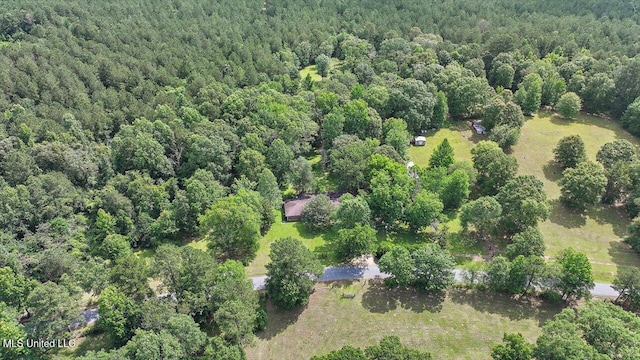 182 Brandon Williamsburg Rd, Mendenhall, MS 39114 - view of property location with a heavily wooded area