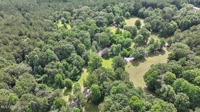 182 Brandon Williamsburg Rd, Mendenhall, MS 39114 - view of property location featuring a heavily wooded area