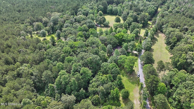 182 Brandon Williamsburg Rd, Mendenhall, MS 39114 - view of property location featuring a forest