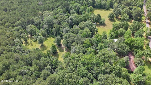 182 Brandon Williamsburg Rd, Mendenhall, MS 39114 - aerial overview of property's location featuring a forest