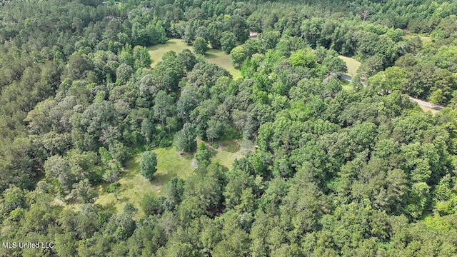 182 Brandon Williamsburg Rd, Mendenhall, MS 39114 - view of property location featuring a heavily wooded area