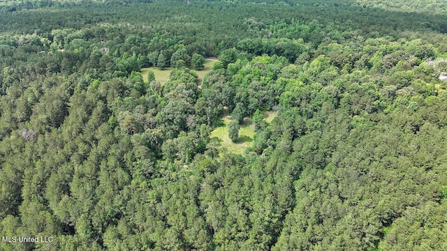 182 Brandon Williamsburg Rd, Mendenhall, MS 39114 - view of property location with a forest