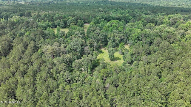 182 Brandon Williamsburg Rd, Mendenhall, MS 39114 - view of property location featuring a forest