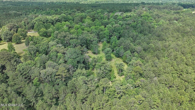 182 Brandon Williamsburg Rd, Mendenhall, MS 39114 - view of property location with a forest