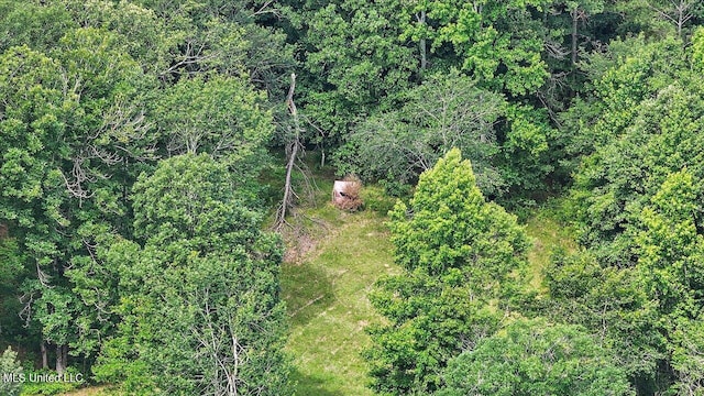 182 Brandon Williamsburg Rd, Mendenhall, MS 39114 - drone / aerial view of a forest