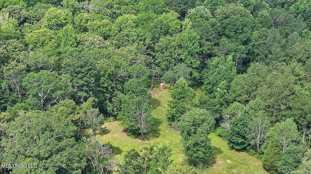182 Brandon Williamsburg Rd, Mendenhall, MS 39114 - aerial overview of property's location featuring a forest