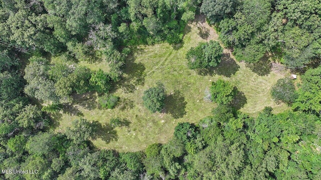 182 Brandon Williamsburg Rd, Mendenhall, MS 39114 - aerial overview of property's location