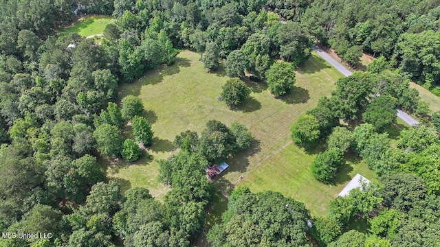 182 Brandon Williamsburg Rd, Mendenhall, MS 39114 - view of property location
