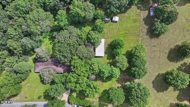 182 Brandon Williamsburg Rd, Mendenhall, MS 39114 - aerial overview of property's location