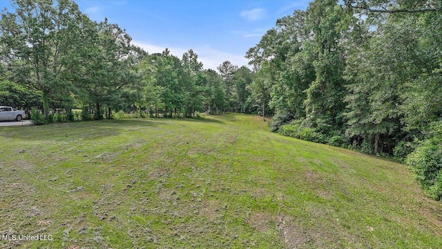 182 Brandon Williamsburg Rd, Mendenhall, MS 39114 - view of green lawn featuring a wooded view