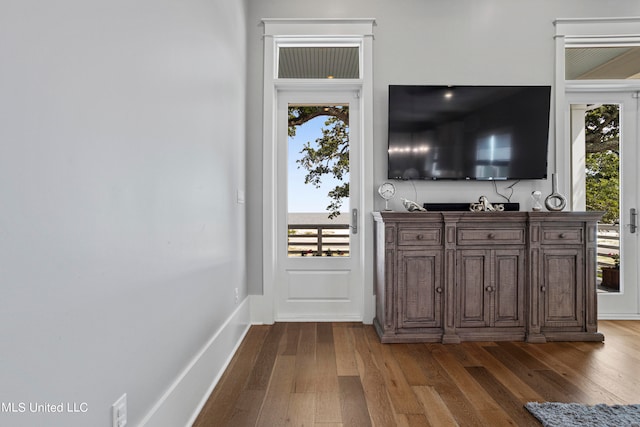 living room with wood-type flooring