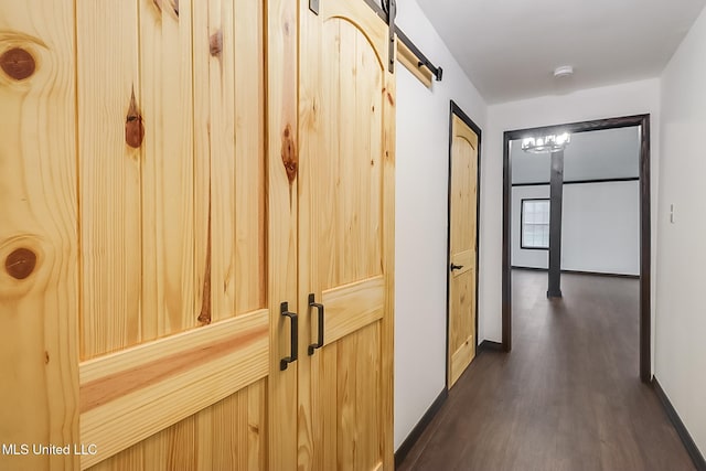 hall with dark hardwood / wood-style floors and a barn door