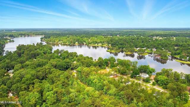 129 E Sunnybrook Rd, Carriere, MS 39426 - bird's eye view of a heavily wooded area and a nearby body of water