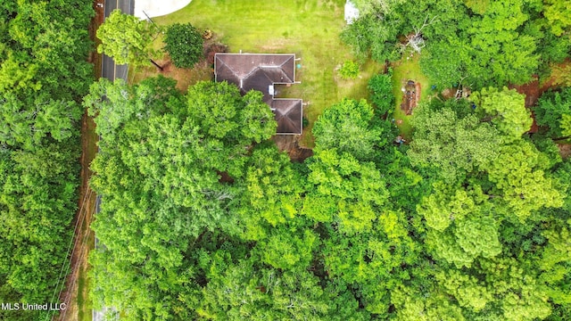 129 E Sunnybrook Rd, Carriere, MS 39426 - drone / aerial view