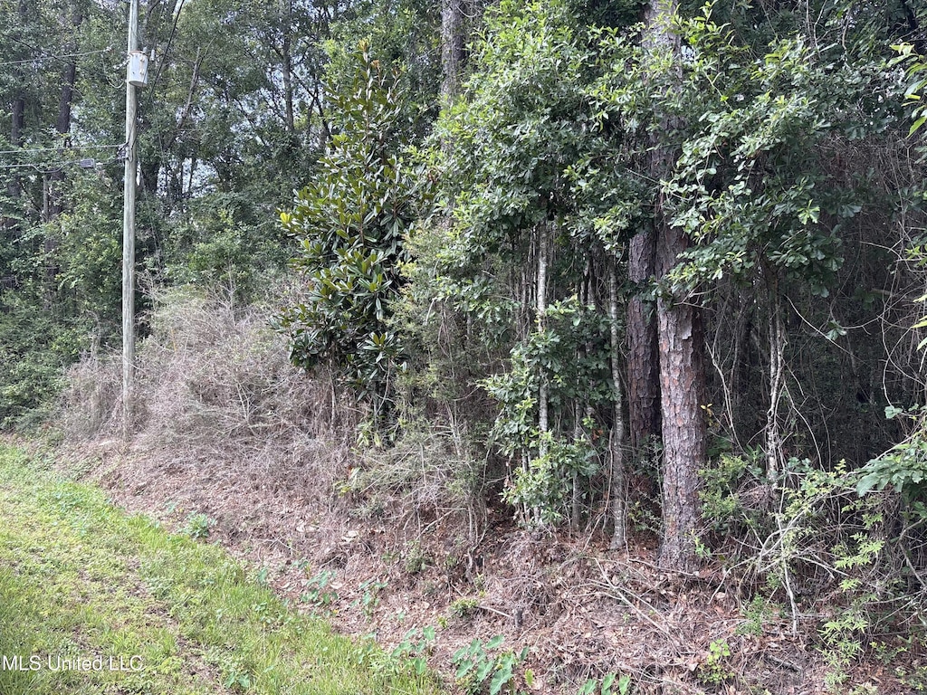 Dailey Rd, Gautier, MS 39553