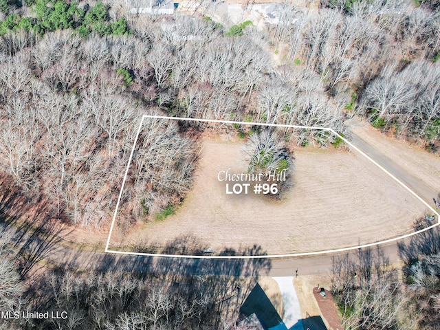 Moonlight Holw, Flora MS, 39071 land for sale