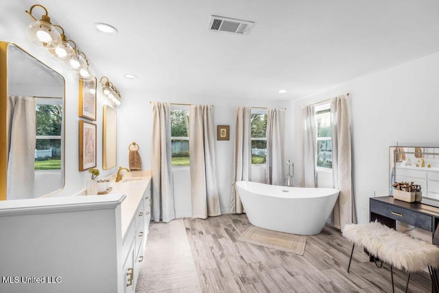 bathroom featuring hardwood / wood-style flooring, vanity, and a washtub