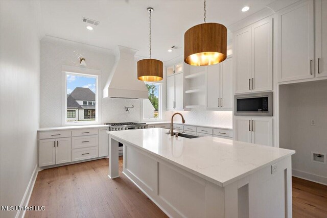 462 Whittington Cir, Madison, MS 39110 - kitchen with appliances with stainless steel finishes, a sink, premium range hood, light wood-type flooring, and visible vents