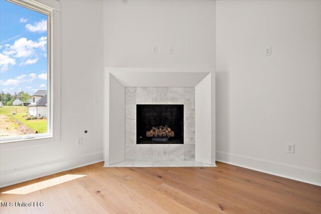 462 Whittington Cir, Madison, MS 39110 - details with baseboards, wood finished floors, and a fireplace