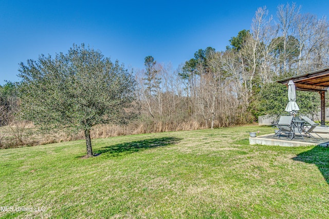 view of yard with a patio