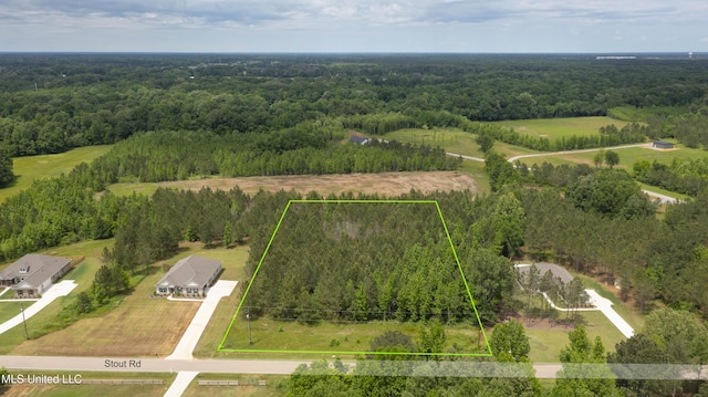 Stout Rd, Canton, MS 39046