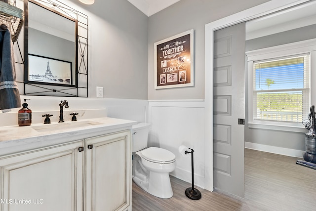 bathroom with vanity, toilet, and wood-type flooring