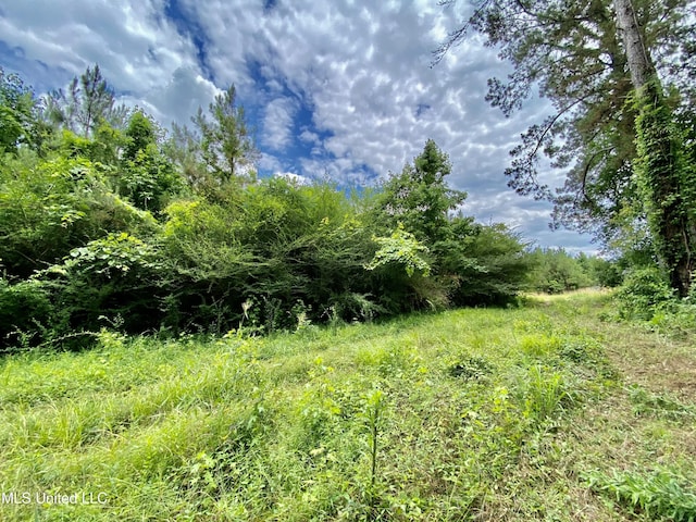 0002 Seventh Day Rd, Florence MS, 39073 land for sale