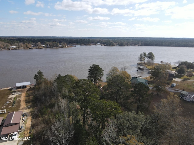 70 Bucaneer Cir, Carriere, MS 39426