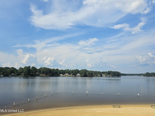 906 W Lakeshore Dr, Carriere, MS 39426 - water view