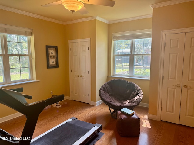 workout area with crown molding, hardwood / wood-style flooring, and ceiling fan