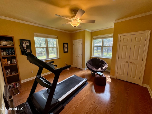 exercise room with crown molding, wood-type flooring, and ceiling fan