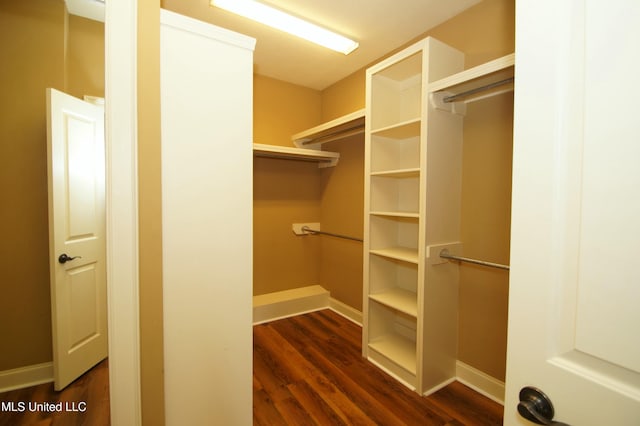 walk in closet featuring dark wood-type flooring