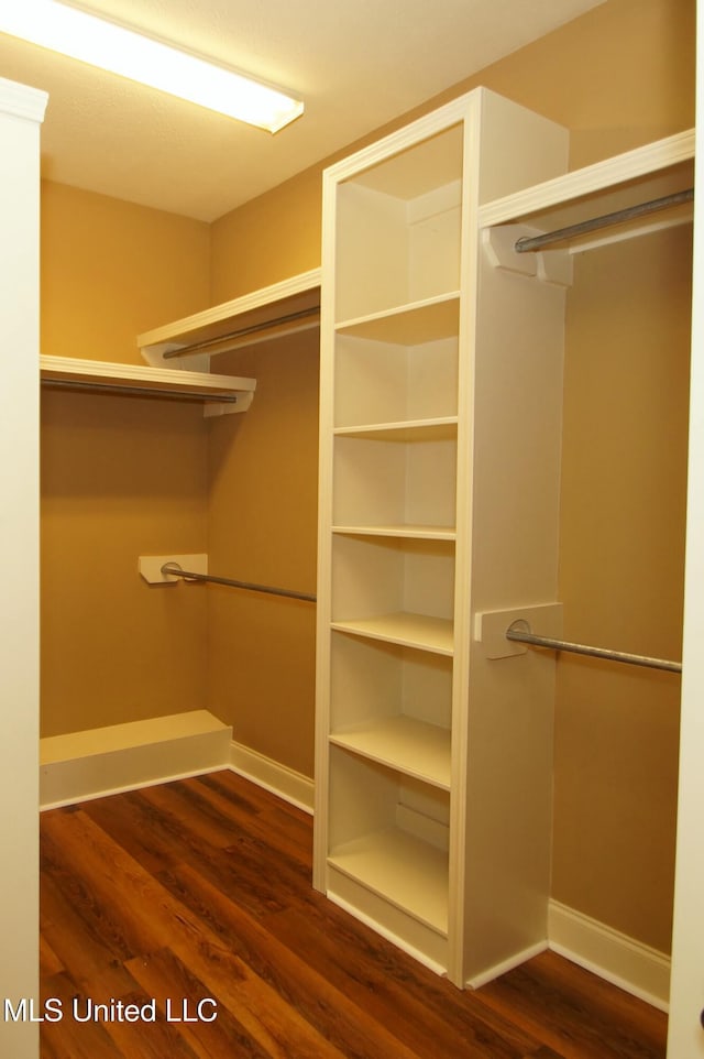 spacious closet featuring wood finished floors