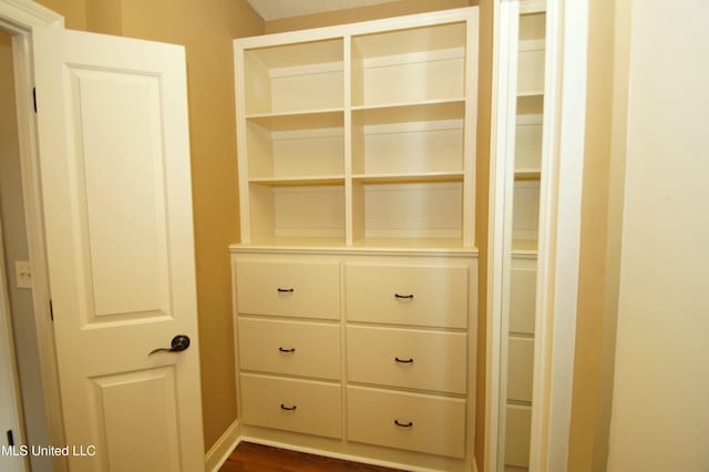 view of closet