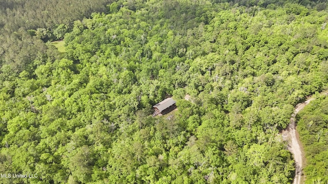 bird's eye view with a wooded view
