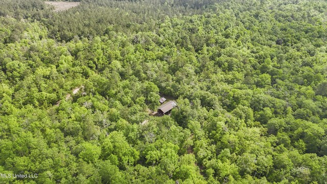 birds eye view of property featuring a forest view