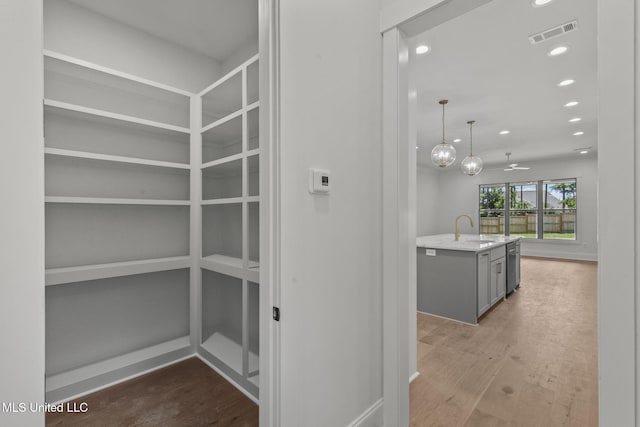 308 Lois Ct, Madison, MS 39110 - pantry with a sink