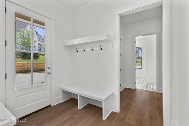 308 Lois Ct, Madison, MS 39110 - mudroom featuring plenty of natural light, wood finished floors, ornamental molding, and baseboards