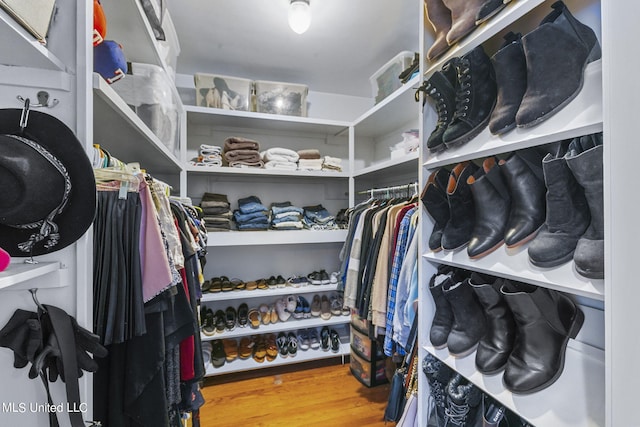 walk in closet with light wood-type flooring