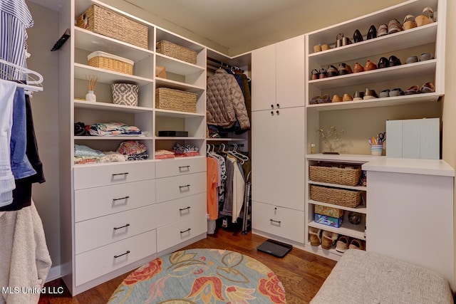 2634 Harvest Tree Dr, Southaven, MS 38672 - walk in closet featuring dark wood-style floors