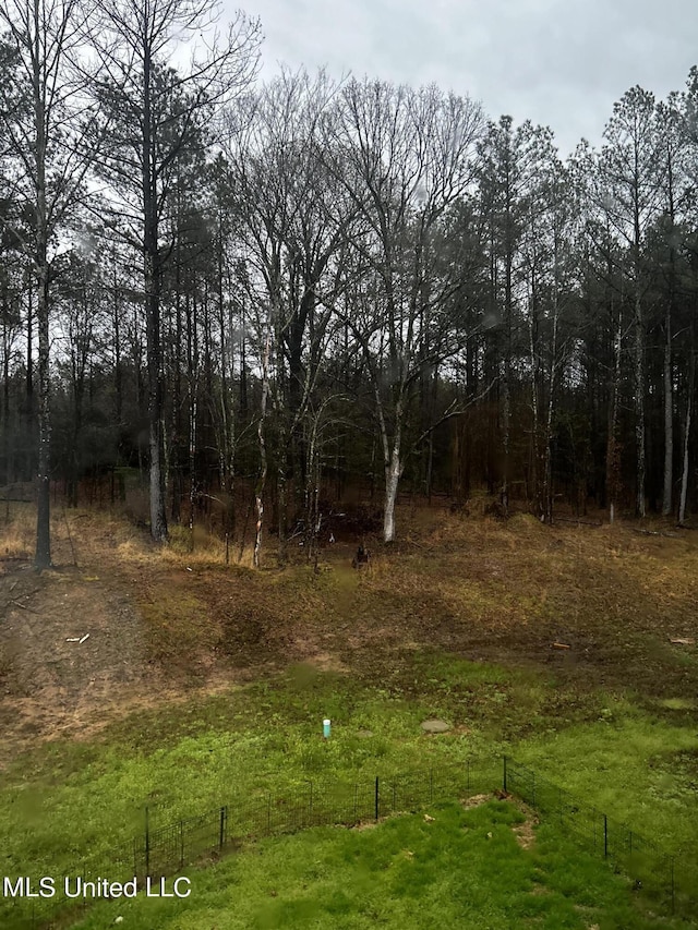 119 Whitetail Ln, Coldwater, MS 38618 - view of local wilderness