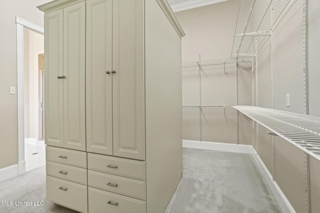 walk in closet with light colored carpet