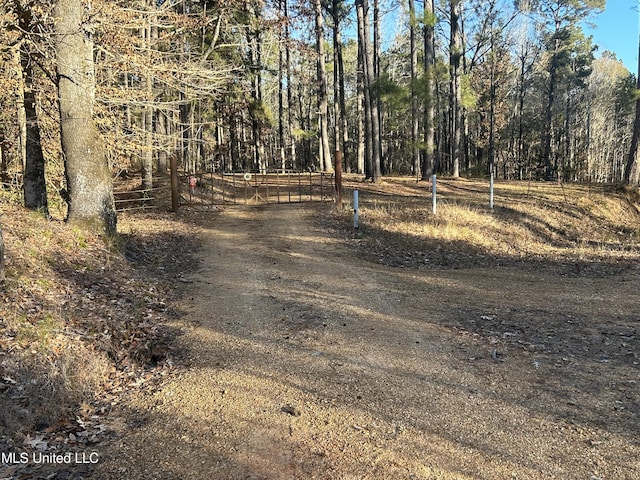 Willie Neyland Rd, Centreville MS, 39631 land for sale