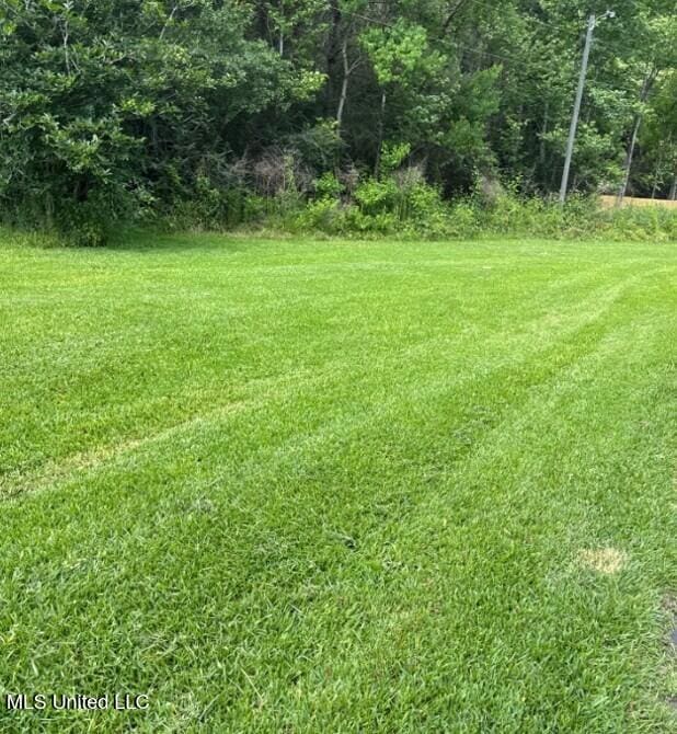 5 Union Church Rd, Tylertown, MS 39667 - view of green lawn