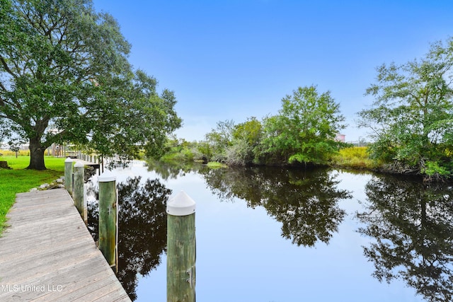 dock area with a water view