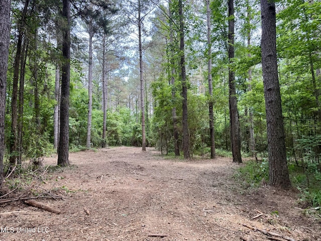 Stephens Rd, Durant, MS 39063