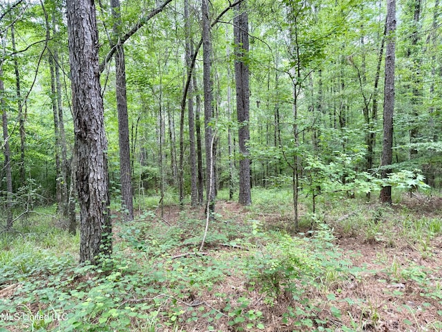 Stephens Rd, Durant, MS 39063