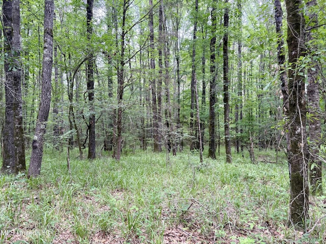 Stephens Rd, Durant, MS 39063