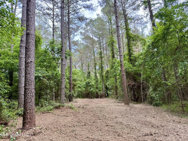 Stephens Rd, Durant, MS 39063