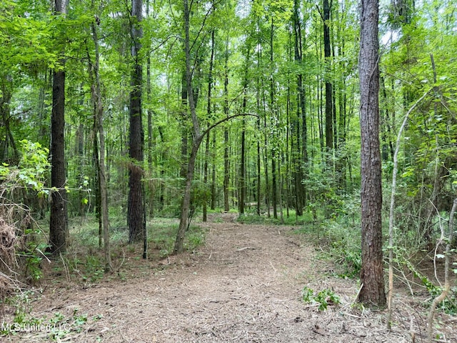 Stephens Rd, Durant, MS 39063